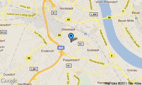 Google Statik Map